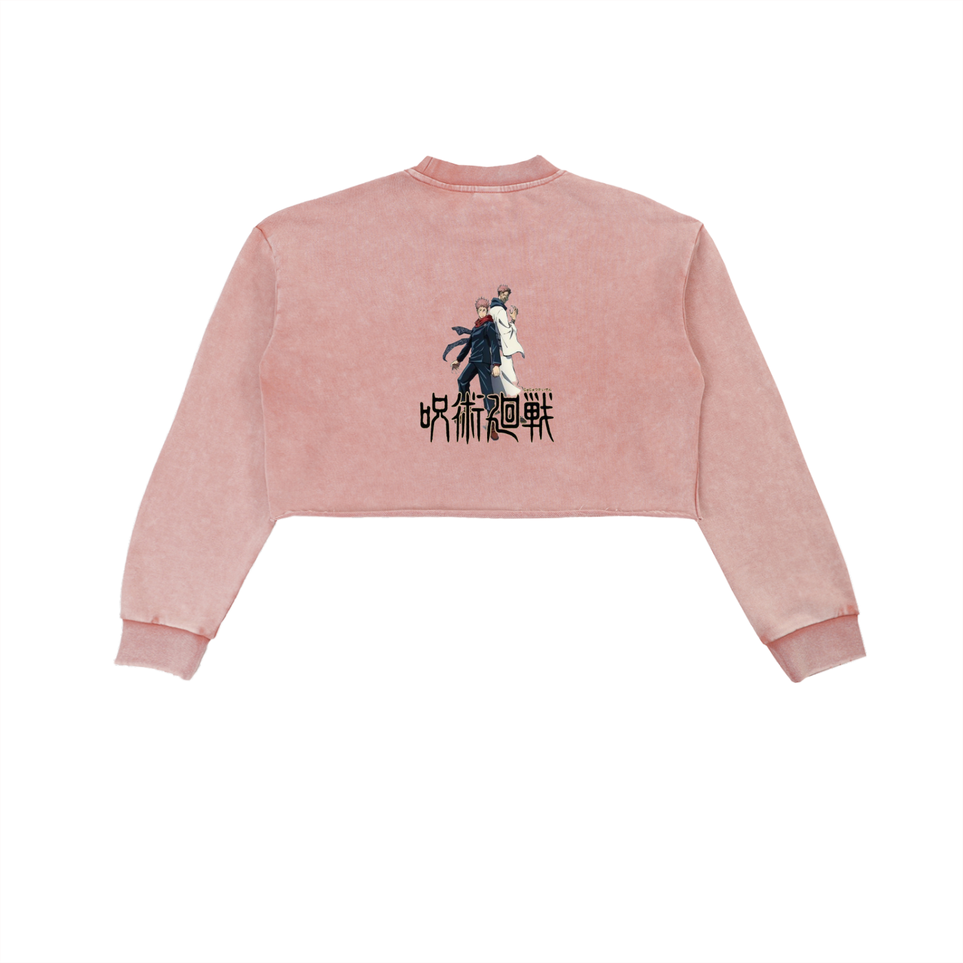 Snow Washed Raw Edge Cropped Sweatshirt